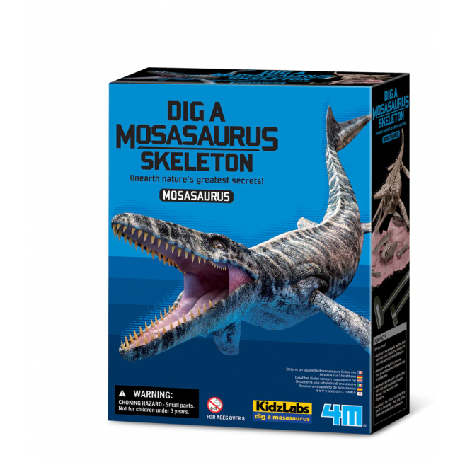 4M Etsi luuranko Mosasaurus